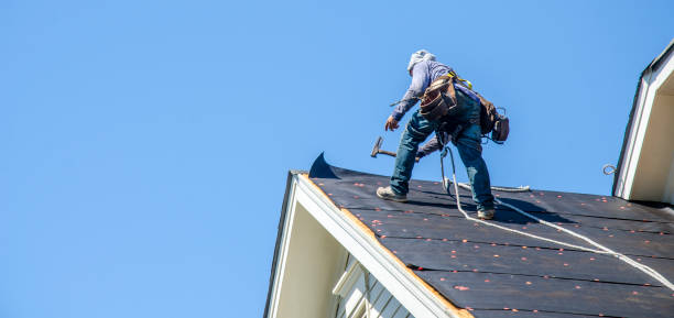 Best Roof Waterproofing Services  in Friendship Heights Village, MD